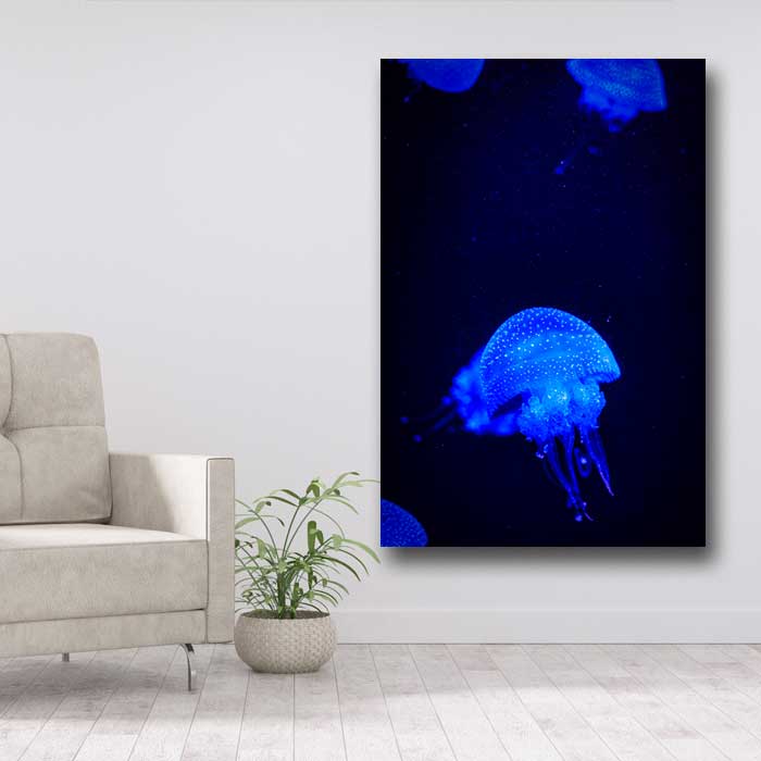 Blue Jellyfish