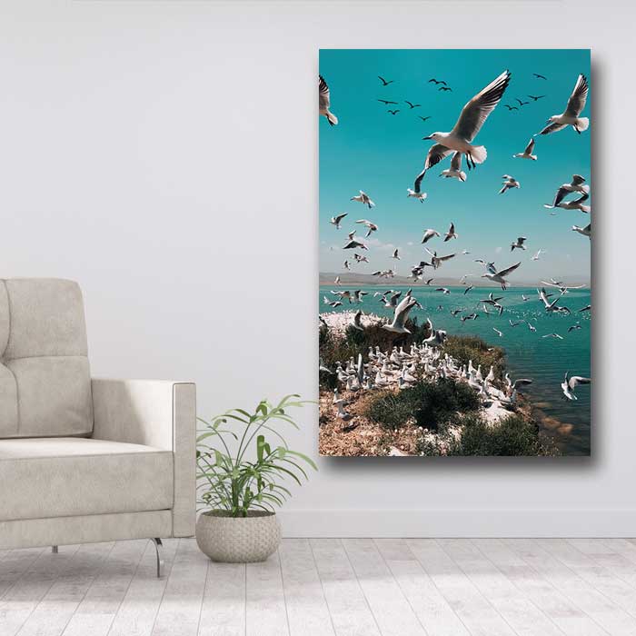 Flock of Seagulls on Island