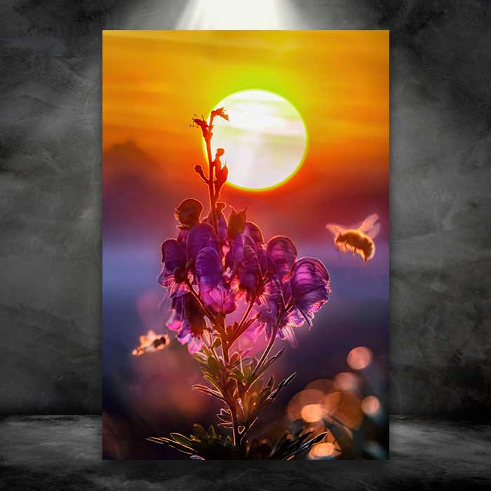 Golden Sunrise with Bees and Flowers