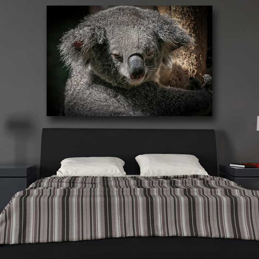 Grey Koala Bear