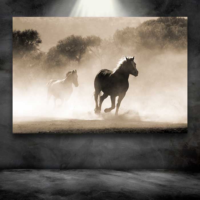 Horses Running in Dust