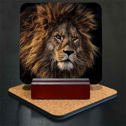 Lions Mane 5 Piece Coaster Set