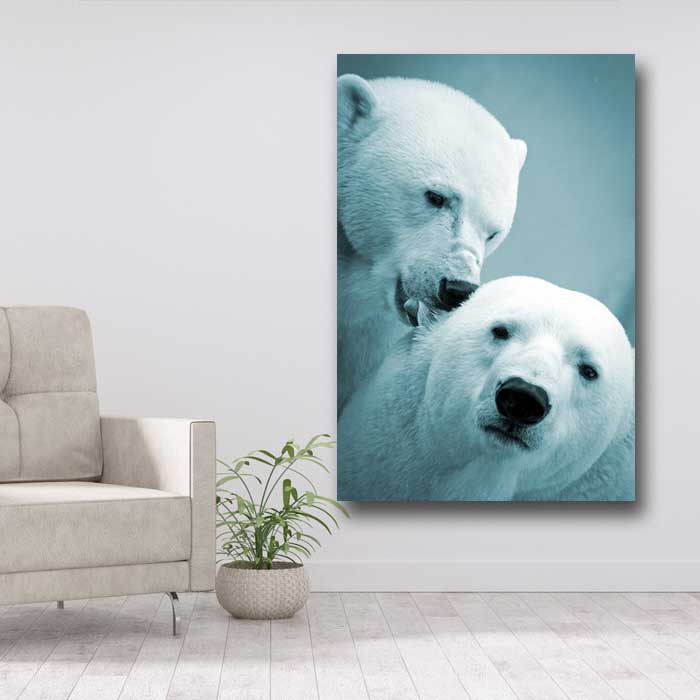 Polar Bear Couple