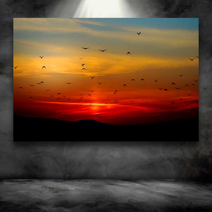 Silhouette of Birds at Sunset