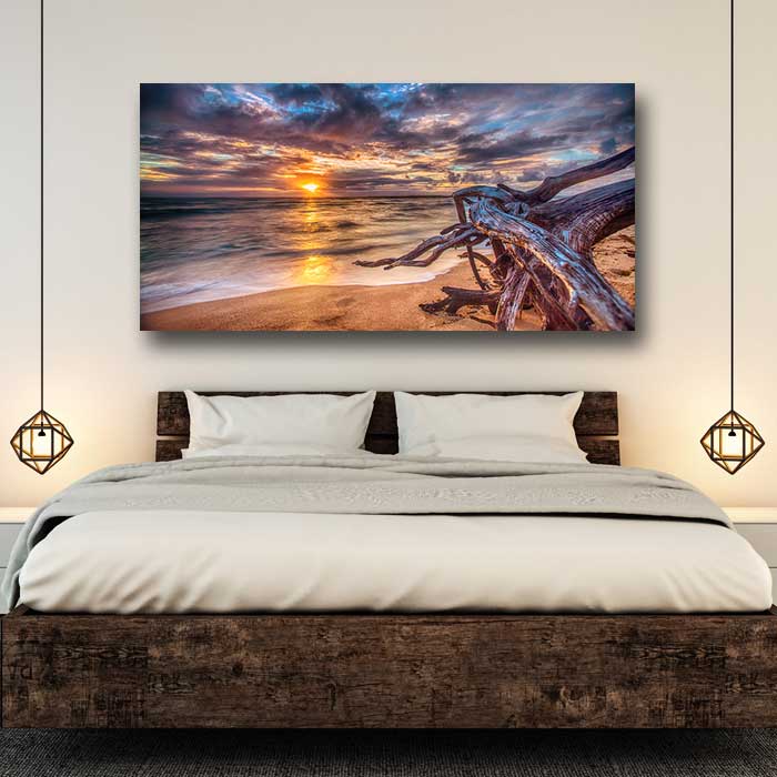 Driftwood Ocean Sunrise